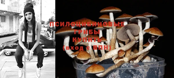 герыч Бородино